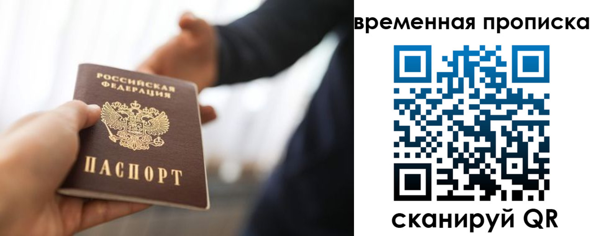 прописка 2025 в Мончегорске
